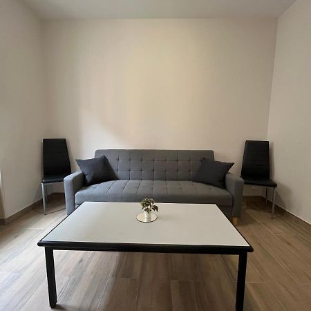 Appartement Renove A 15 Min De Lyon Saint-Fons エクステリア 写真