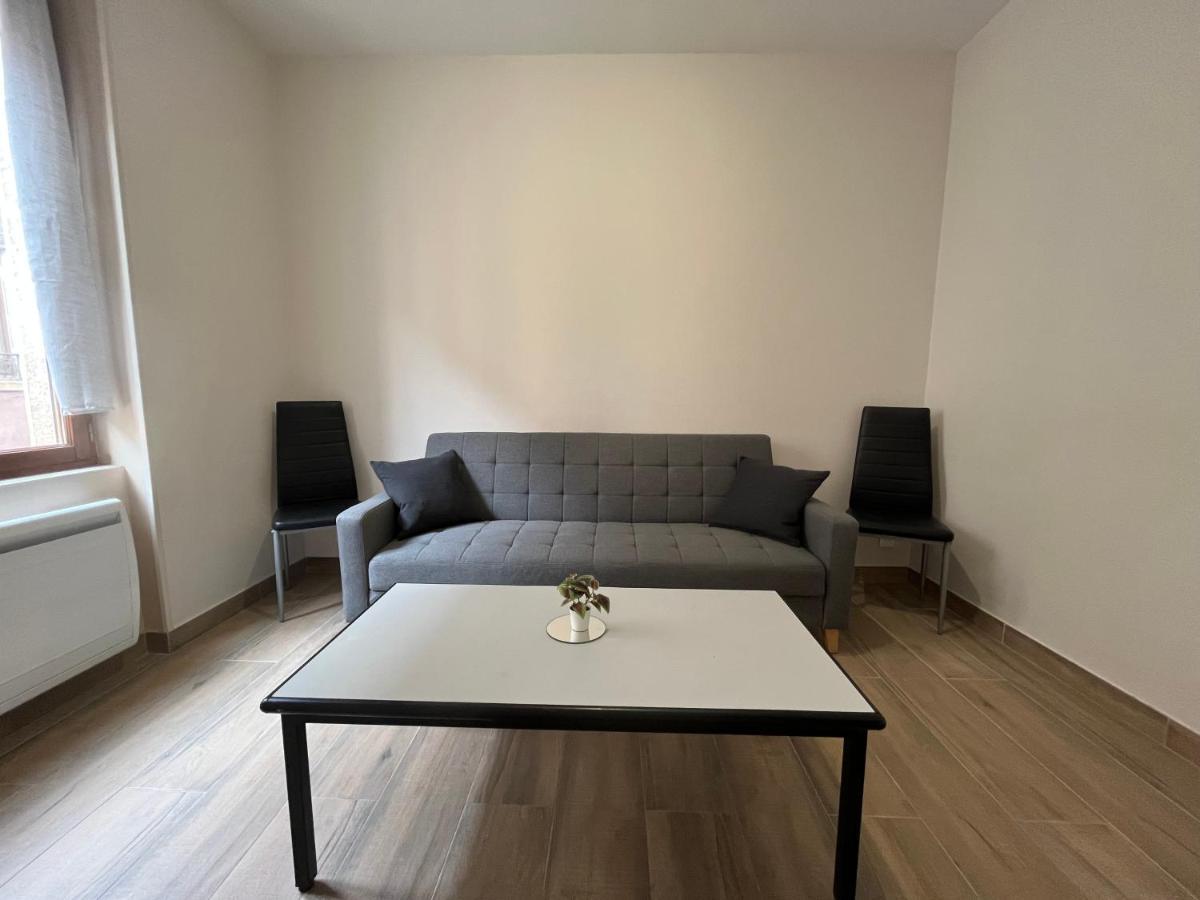 Appartement Renove A 15 Min De Lyon Saint-Fons エクステリア 写真